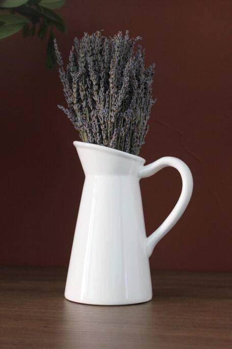 Lavandula Ring Tirana Zewnętrze zdjęcie