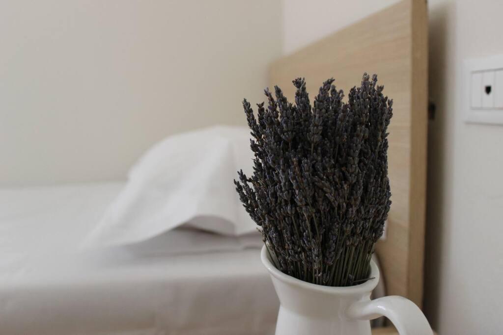 Lavandula Ring Tirana Zewnętrze zdjęcie