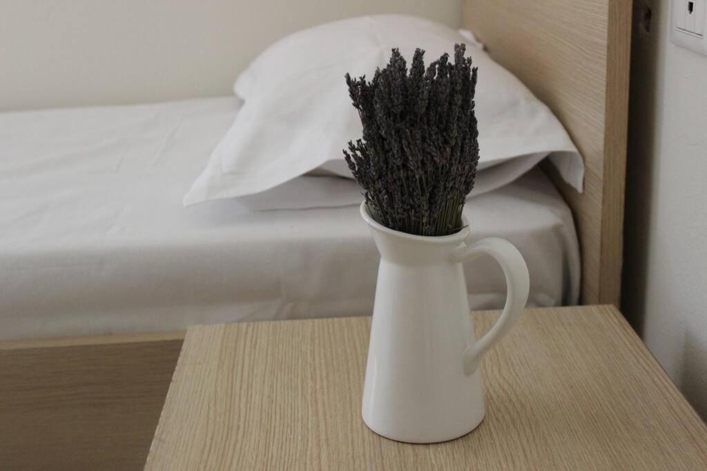 Lavandula Ring Tirana Zewnętrze zdjęcie